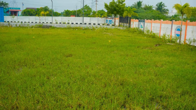  Residential Plot 800 Sq.ft. for Sale in Thiruporur, Chennai