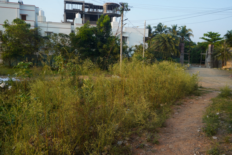 Residential Plot 1845 Sq.ft. for Sale in Guduvancheri, Chennai
