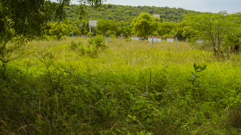  Residential Plot 1800 Sq.ft. for Sale in Guduvancheri, Chennai
