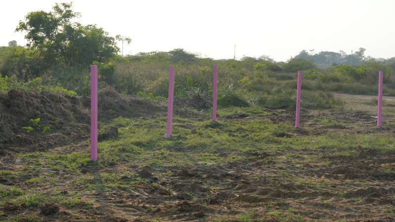  Residential Plot 1200 Sq.ft. for Sale in Kelambakkam, Chennai