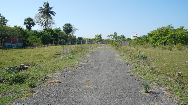  Residential Plot 943 Sq.ft. for Sale in Vandular, Chennai