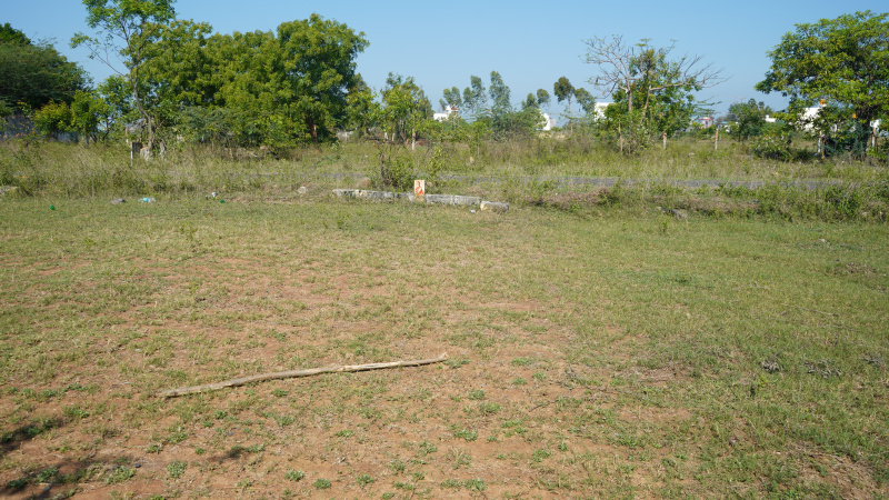  Residential Plot 943 Sq.ft. for Sale in Vandular, Chennai