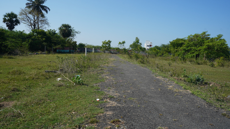  Residential Plot 943 Sq.ft. for Sale in Vandular, Chennai