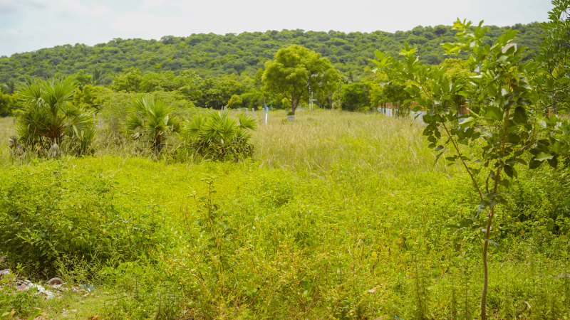  Residential Plot 1550 Sq.ft. for Sale in Guduvancheri, Chennai