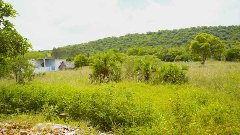 Residential Plot 1550 Sq.ft. for Sale in Guduvancheri, Chennai