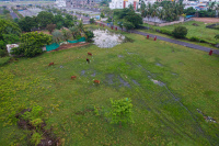  Residential Plot for Sale in Uthandi, Chennai