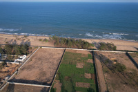  Commercial Land for Sale in Mahabalipuram, Chennai