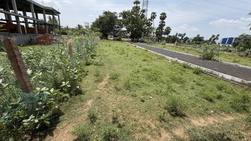  800 Sq.ft. Residential Plot for Sale in Mambakkam, Chennai