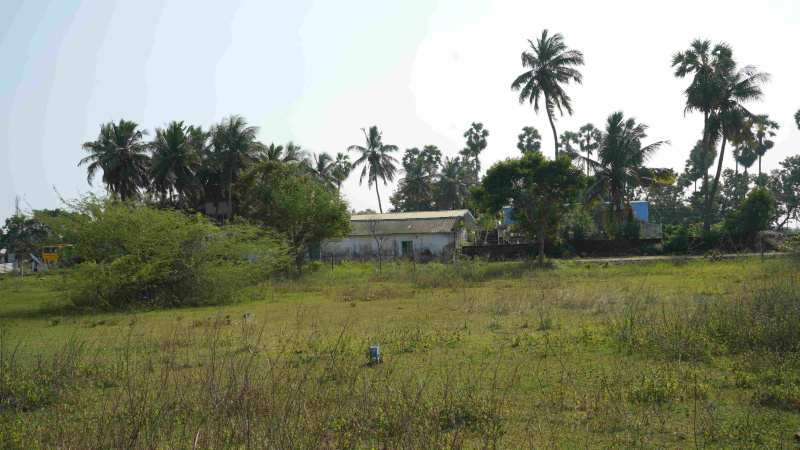 1353 Sq.ft. Residential Plot for Sale in Guduvancheri, Chennai
