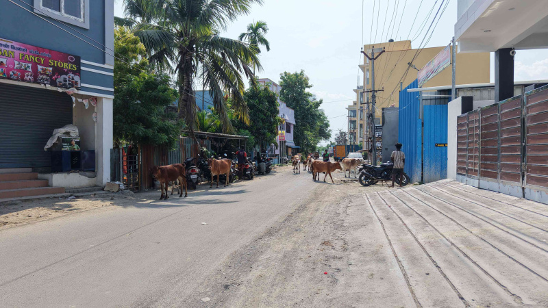 Guduvancheri, Chennai photo 5