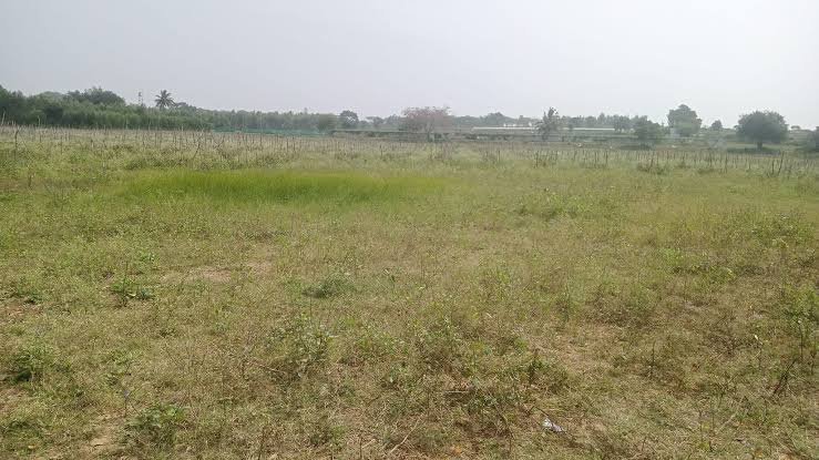  8 Acre Industrial Land for Sale in Gummidipoondi, Thiruvallur