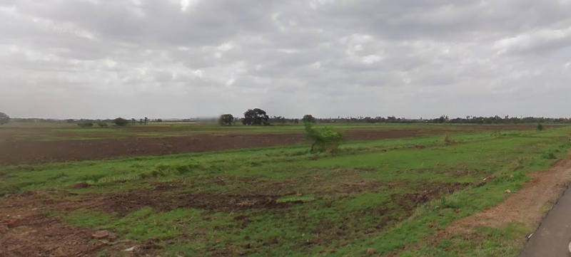 Agricultural Land 8 Acre for Sale in Chebrolu, Guntur
