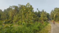  Residential Plot for Sale in Kalepully, Palakkad