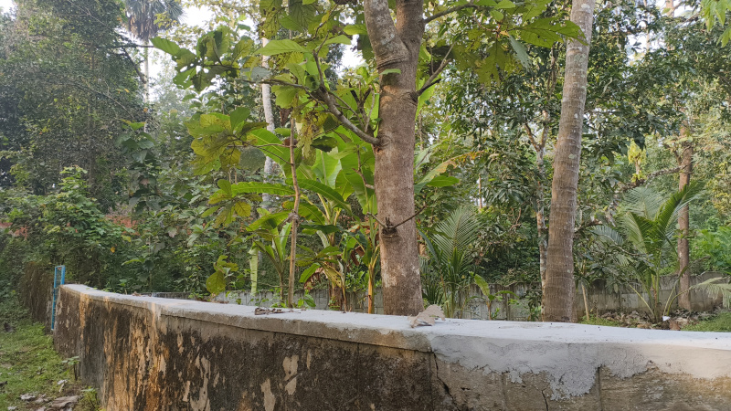 Residential Plot 52 Cent for Sale in Kalepully, Palakkad