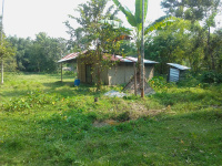  Residential Plot for Sale in Chandannagar, Six Mile, Guwahati