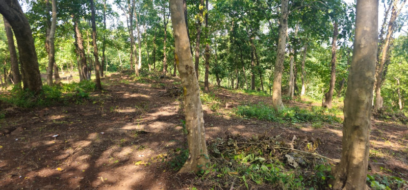  Agricultural Land 11 Acre for Sale in Wada, Thane