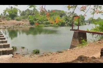  Agricultural Land for Sale in Manor, Palghar