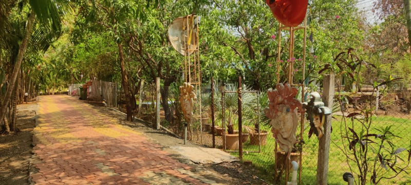  Agricultural Land 8 Acre for Sale in Manor, Palghar