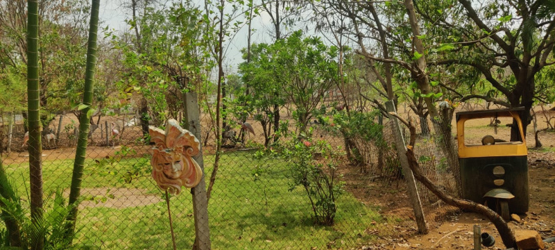  Agricultural Land 8 Acre for Sale in Manor, Palghar