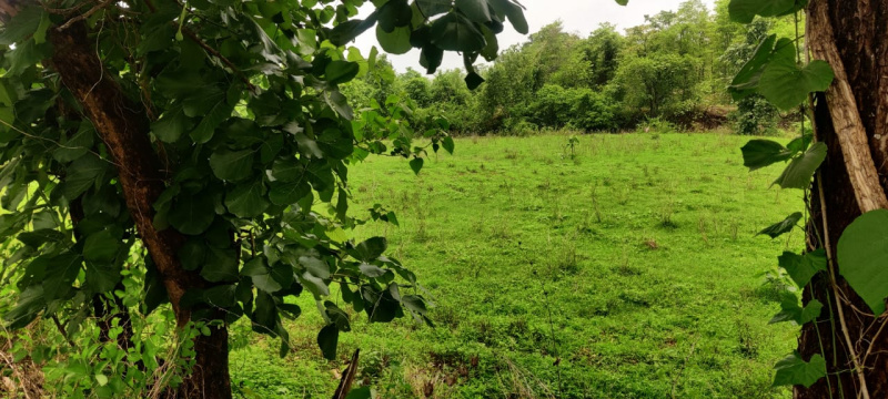  Industrial Land 27 Acre for Sale in Wada, Thane