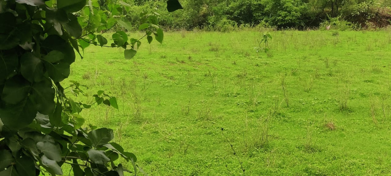  Industrial Land 27 Acre for Sale in Wada, Thane
