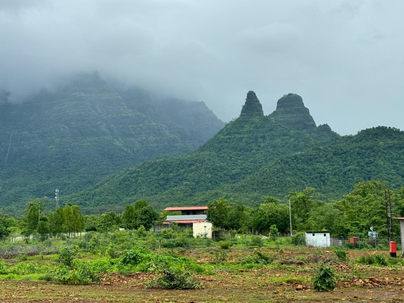  Agricultural Land 10 Acre for Sale in Saralgaon, Murbad, Thane