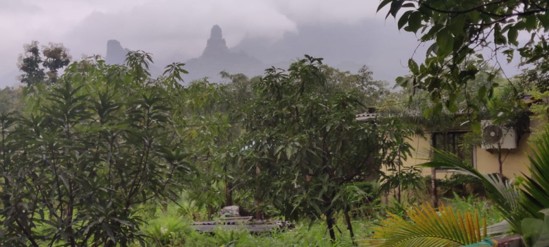  1 Acre Agricultural/Farm Land for Sale in Murbad, Thane