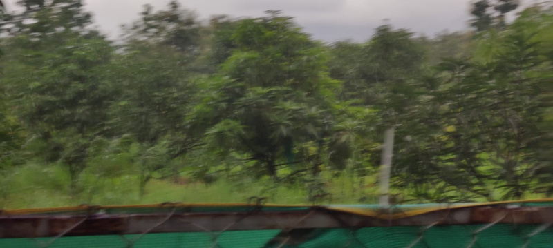  1 Acre Agricultural/Farm Land for Sale in Murbad, Thane