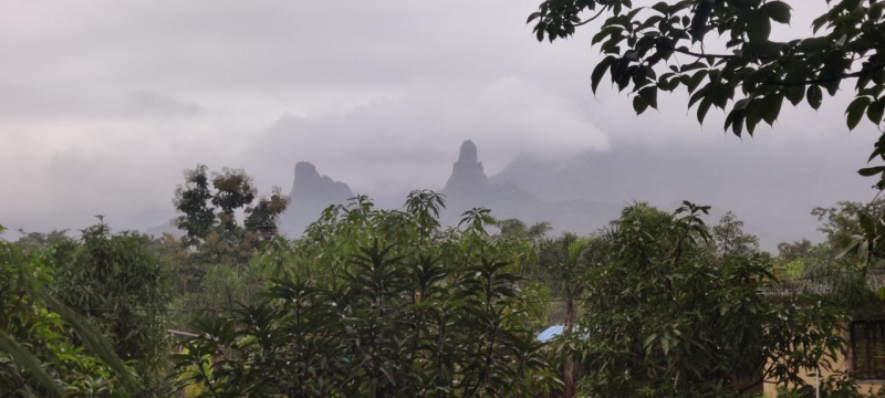  1 Acre Agricultural/Farm Land for Sale in Murbad, Thane