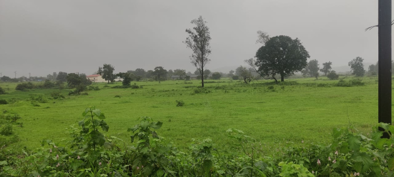  4 Acre Agricultural/Farm Land for Sale in Murbad, Thane