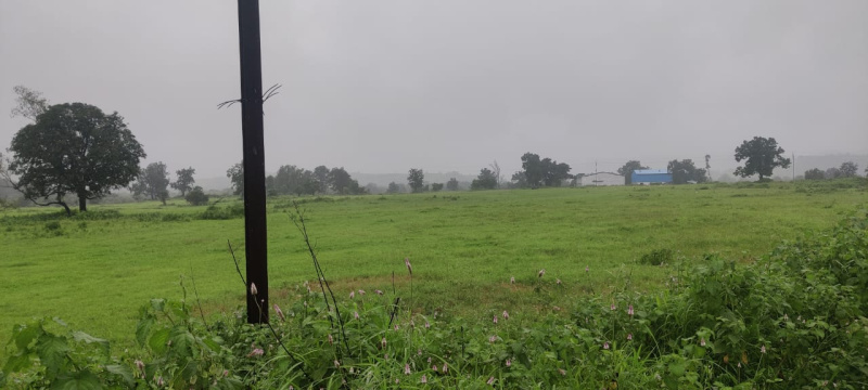  4 Acre Agricultural/Farm Land for Sale in Murbad, Thane