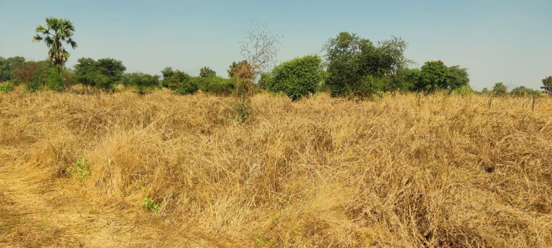  66 Guntha Industrial Land for Sale in Wada, Thane
