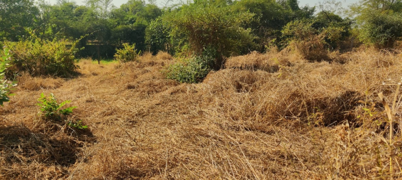  66 Guntha Industrial Land for Sale in Wada, Thane