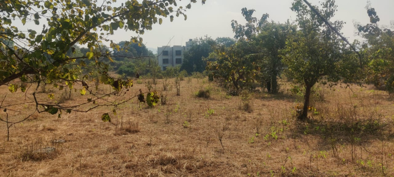  15 Acre Residential Plot for Sale in Wada, Thane