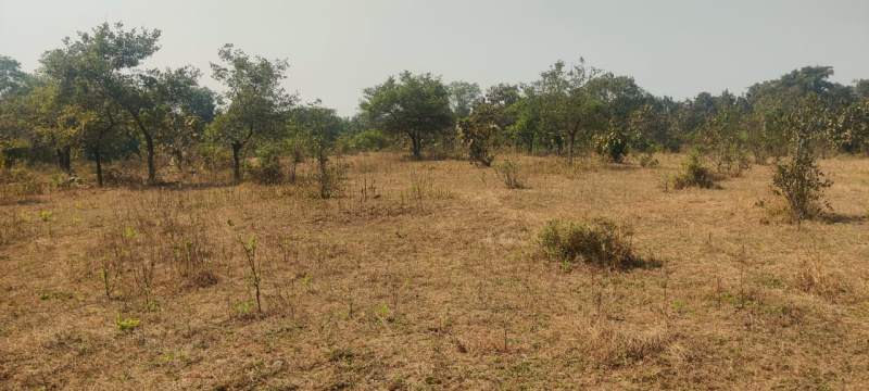  15 Acre Residential Plot for Sale in Wada, Thane