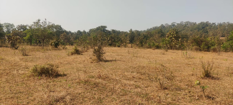  15 Acre Residential Plot for Sale in Wada, Thane