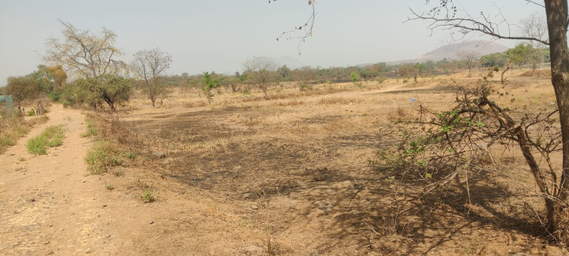  4 Acre Agricultural/Farm Land for Sale in Wada, Thane