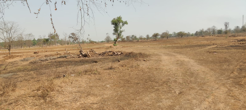  4 Acre Agricultural/Farm Land for Sale in Wada, Thane
