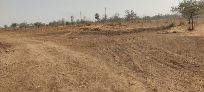  4 Acre Agricultural/Farm Land for Sale in Wada, Thane