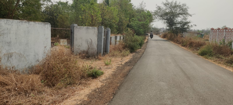  31 Guntha Residential Plot for Sale in Saralgaon, Murbad, Thane