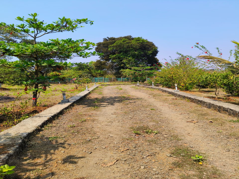 3 BHK 85 Guntha Farm House for Sale in Pali, Raigad