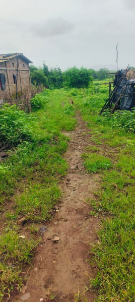  130 Guntha Agricultural/Farm Land for Sale in Wada, Palghar