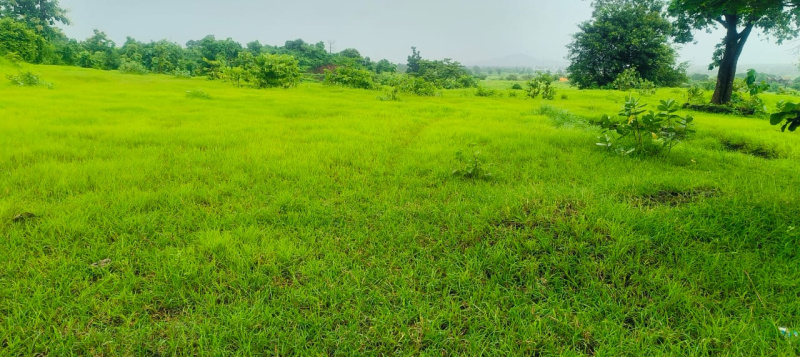  130 Guntha Agricultural/Farm Land for Sale in Wada, Palghar