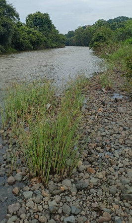  86 Acre Residential Plot for Sale in Karjat, Raigad