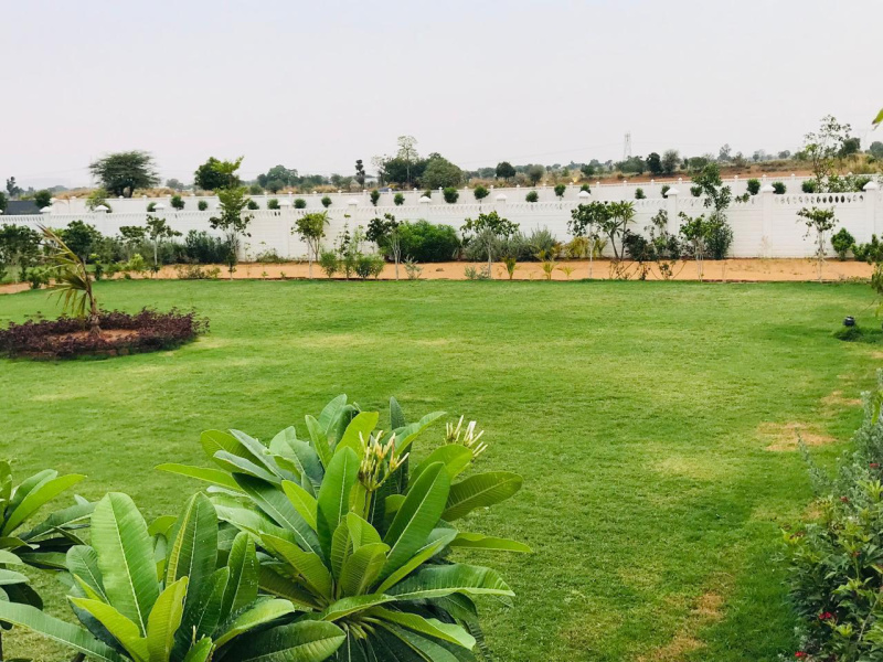 1 BHK Farm House 500 Sq. Yards for Sale in Khatu, Sikar