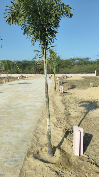  100 Sq.ft. Residential Plot for Sale in Petshal, Almora