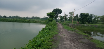  Agricultural Land for Sale in Raiganj, Uttar Dinajpur