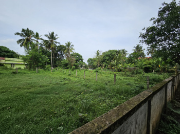  Commercial Land for Rent in Amalanagar, Thrissur
