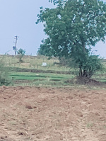  Residential Plot for Sale in Shankarampet, Medak