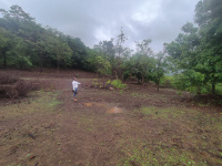  Agricultural Land for Sale in Roha, Raigad